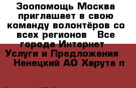 Зоопомощь.Москва приглашает в свою команду волонтёров со всех регионов - Все города Интернет » Услуги и Предложения   . Ненецкий АО,Харута п.